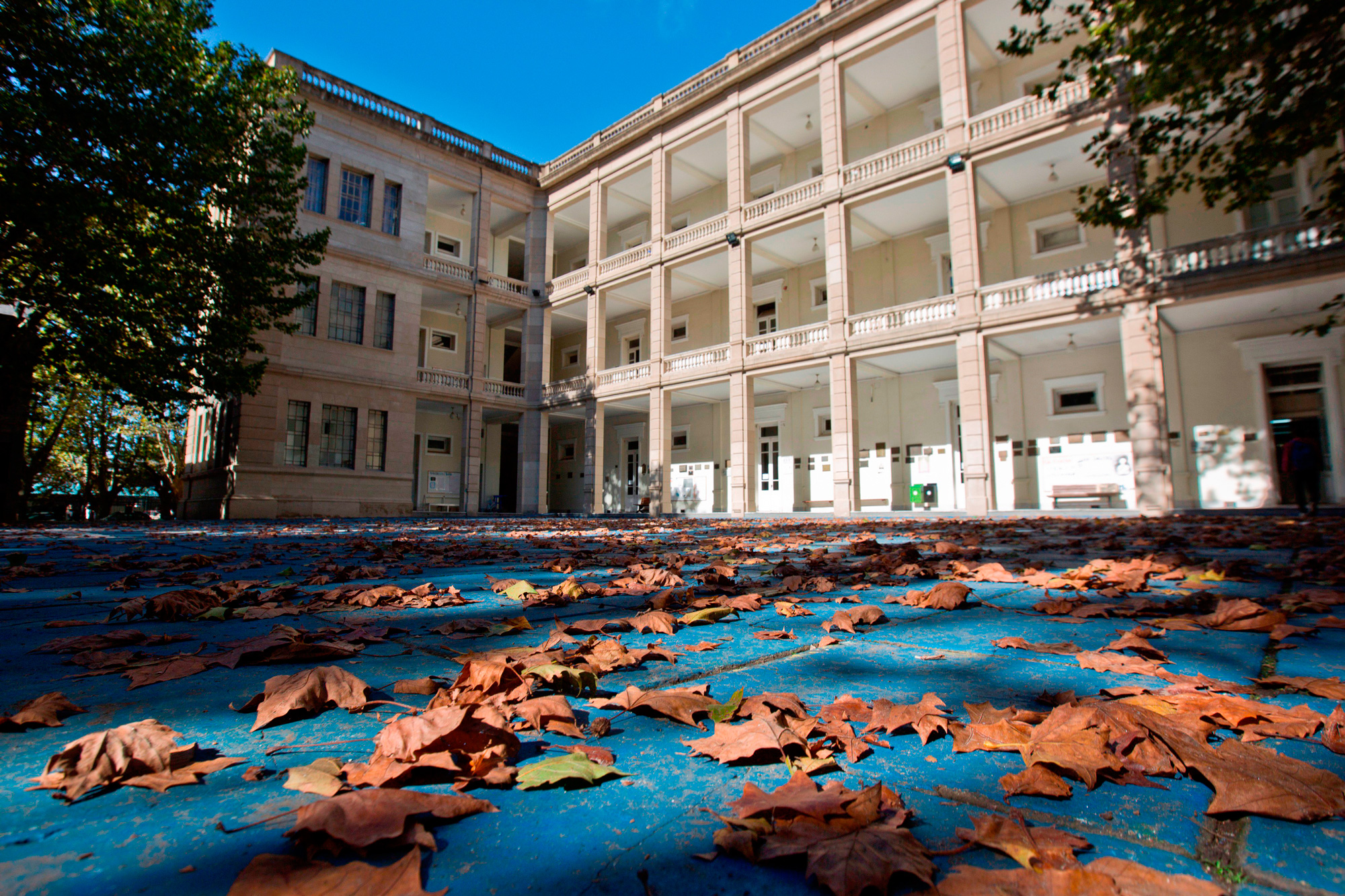 Biblioteca del Colegio Nacional